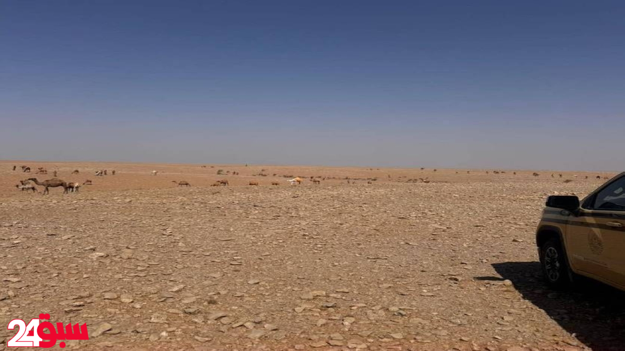 مخالفة رعي تعرض مواطنًا لعقوبات صارمة بعد ضبطه داخل محمية طبيعية